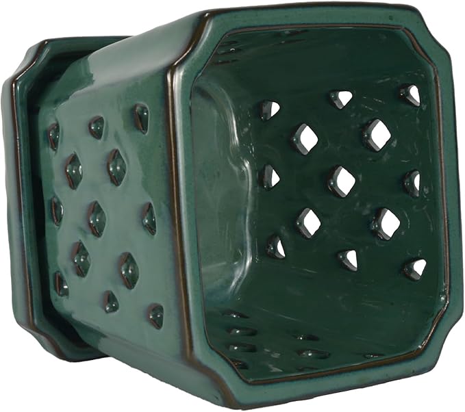 W&W Orchid Pot with Holes and Saucer for Repotting, Green, 7 Inches