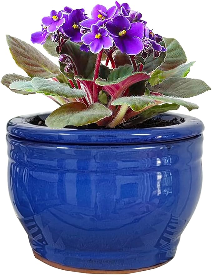 African Violet Pots Self Watering 6 inch Round Ceramic Violet Pot Blue
