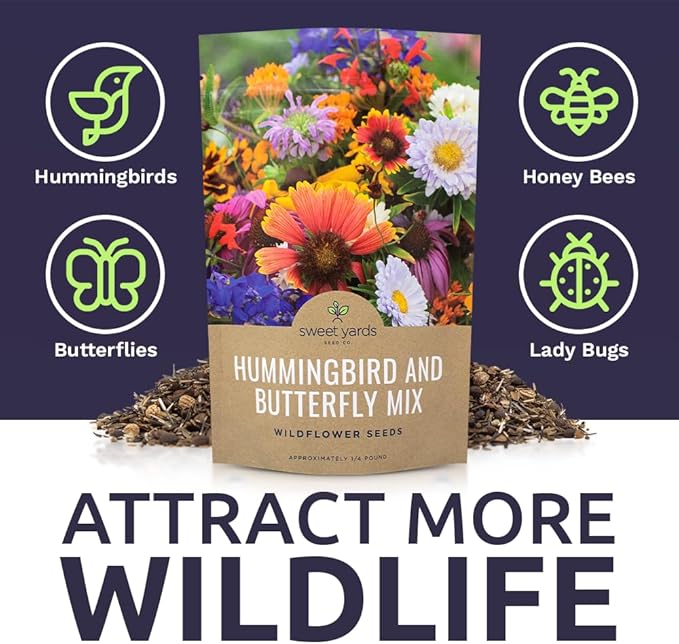 Bulk Wildflower Seeds Butterfly and Humming Bird Mix - 1/4 Pound Bag - Over 30,000 Open Pollinated Annual and Perennial Seeds