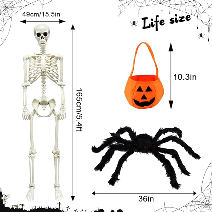 DINESIL 5.4ft/165cm Halloween Skeleton, Halloween Life Size Skeleton with Spider Pumpkin Bag, Full Body Human Bones with Movable Joints for Halloween Indoor Outdoor Haunted House Decorations