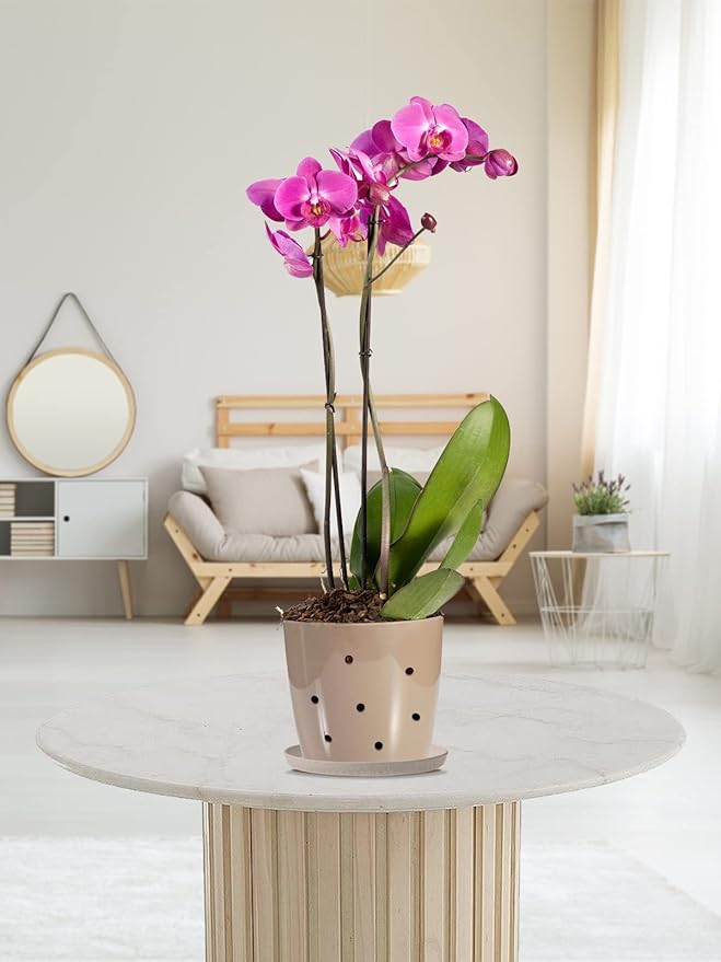 10 Quarts Orchid Potting Bark, Sun-Dried New Zealand Medium Organic Pine Wood Chip Barks for Orchids Mix Plant Compost, Natural Houseplant Mulch for Plant Development