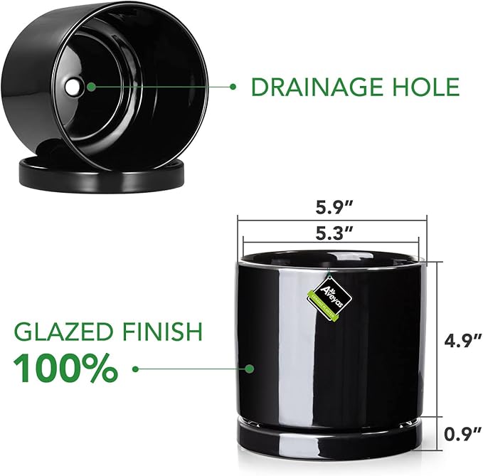 Aveyas 6 inch Ceramic Plant Pot with Drainage Hole and Saucer - Suitable for Indoor and Outdoor Use, Modern Planters for House Garden Orchid Flower Snake Monstera Plants (6", Glossy Black)