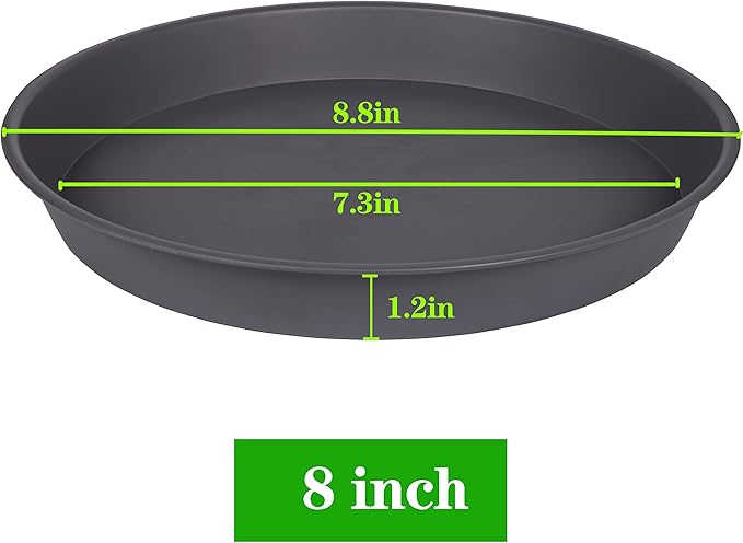 6 Pack of 7 8 inch Plant Saucer, Heavy Duty Plastic Plant Water Tray 8 inch Round, Flower Plant Saucers for Indoors No Holes, Plant Dishes Saucer for Planter 7"/8" (8", Cement Gray)