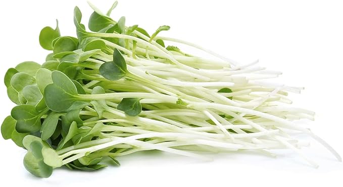 Todd’s Seeds - Alfalfa Seeds - 16 Oz Bulk Alfalfa Sprouting Seeds - Resealable Bag - Highest Germination - Non-GMO, Chemical Free (Better than Organic!) - Perfect for Home Gardening and Healthy Eating