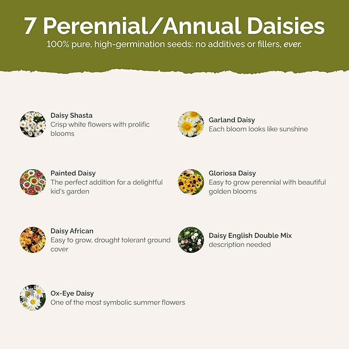 Eden Brothers Daisy Crazy Flower Mixed Seeds for Planting, 1/4 lb, 120,000+ Seeds with Creeping, Painted, Yellow Daisy | Attracts Pollinators, Plant in Spring or Fall, Zones 3, 4, 5, 6, 7, 8, 9, 10