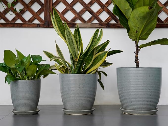 10 Inch Plant Pot, Ceramic Planters for Indoor Plants with Drainage and Saucer, Large Flower Pot for Home and Garden Decor, Light Gray