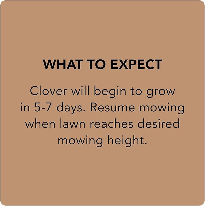 Scotts Turf Builder Clover Lawn, Greener Lawn with Less Maintenance, 2 lbs., 2-Pack
