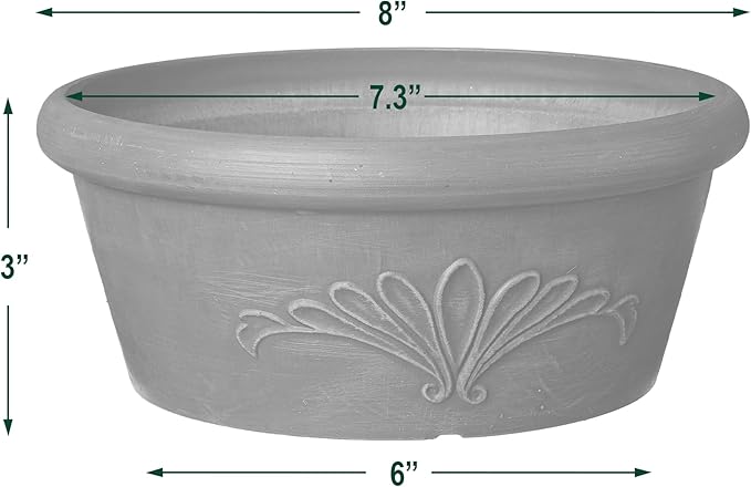 PSW Pot TA20C Collection Shallow Bulb Pan Planter Dish Low Bowl for Succulents, Bonsai, Fairy Gardens, Herbs, 8-inch, Chocolate.
