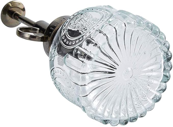 Glass Plant Mister Spray Bottle, 6.5" Tall Vintage Plant Spritzer Watering Can, Succulent Watering Bottle with Top Pump, Small Plant Sprayer Mister for Indoor Outdoor House Plant - Clear