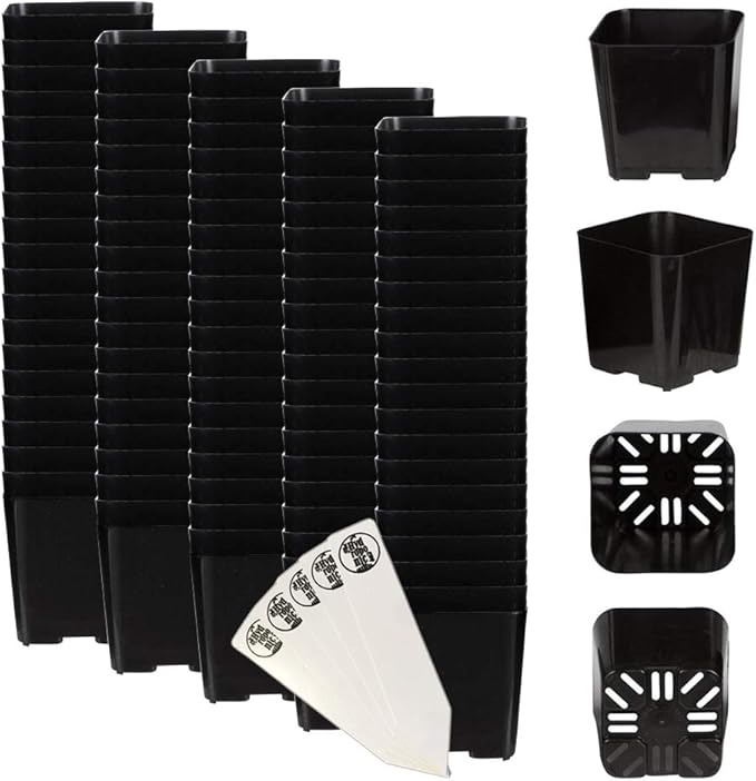 The Hydroponic City 2 Inch Black Square Nursery Pots for Starting Seedlings, Succulents, or Cacti - 2" x 2", Pack of 100 + 5 THCity Stakes