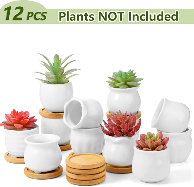 Remerry 12 Pcs Small Ceramic Pots 2.5 Inch Mini Succulent Pots Valentine's Day Gifts DIY Figurines Paint Craft Kit Unpainted Ceramic Bisque with Drainage Hole Ready to Paint for Classroom(Cute)