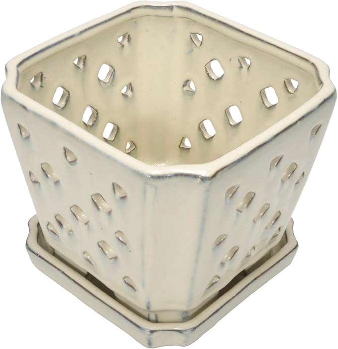 W&W Orchid Pot with Holes and Saucer for Repotting and Better Grow, Cream White, 7 Inches