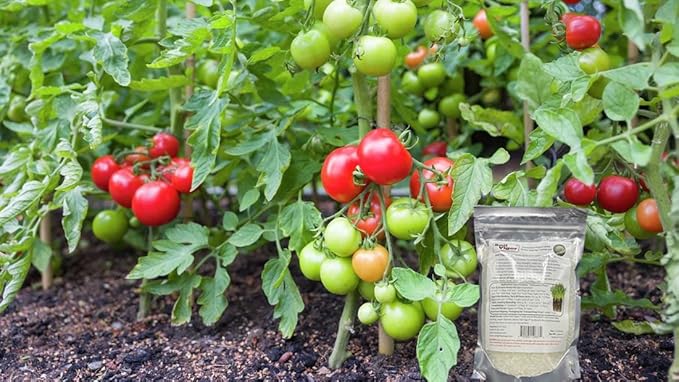 Potassium Polyacrylate for Garden Lasts Up to 7 Years in Soil (10)