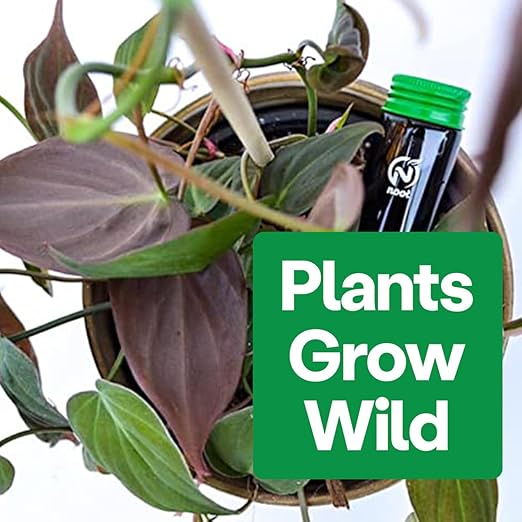 Noot Bio-Organic Plant Food Liquid Fertilizer - Makes 3.5 Gallons - Root Boosting Mycorrhizae - Fast Growth for Monstera, Aroid, Succulent, Orchid, Calathea, Philodendron - Use Every Watering (1 Vial)