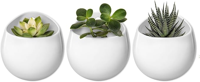 Mkono 4 Inch Wall Mounted Planter Round Ceramic Hanging Plant Holder Decorative Flower Display Vase Succulent Pots for Indoor Plants, Set of 3, White (Plants NOT Included)