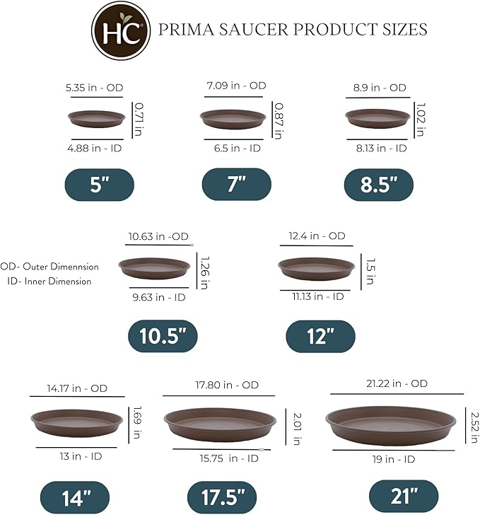 The HC Companies 12 Inch Round Prima Plastic Plant Saucer - Indoor Outdoor Plant Trays for Pots - 12.4 Inchx12.4 Inchx1.5 Inch in Cappuccino