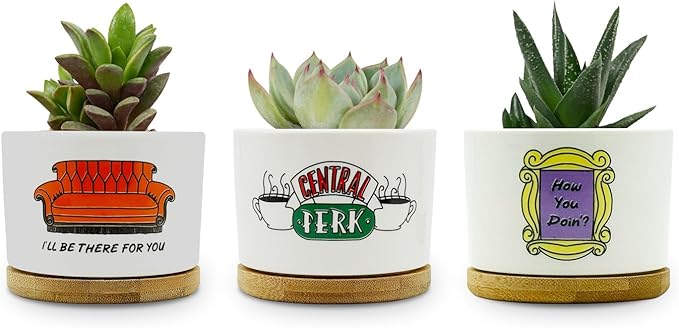 Friends TV Show Merchandise Gifts, 3 Pack Ceramic Succulent Pots, Vintage Style Patterns, 3.15 inch Succulent Planter Pots with Drainage Hole and Bamboo Saucer for Home Decor