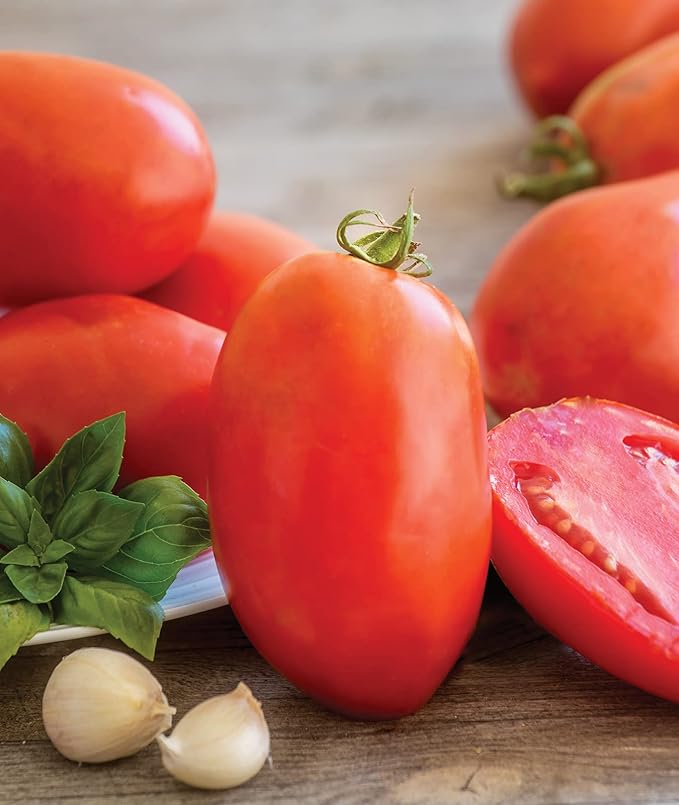 Burpee 'Gladiator',25 Non-GMO Seeds, Hybrid Red Slicing & Paste Delicious Roma Tomato Variety, Indeterminate Seeds for Home Garden