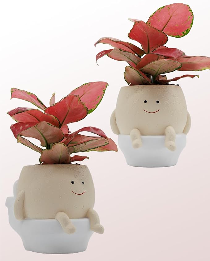 Smily Face Planter Pot Funny Toilet Plant Pots Cute Resin Flower Head Planters Succulent Pots for Indoor Outdoor Plants Unique Bathroom Planter with Drainage Hole (Large)