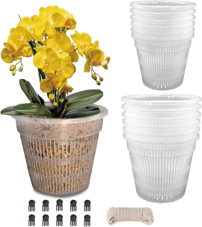 Orchid Pot, 12 Pack Orchid Pots with Holes, 5.5in and 4.5in Clear Orchid Pots for Repotting, Breathable Slotted Orchids Planter, Plastic Flower Plant Pot Indoor