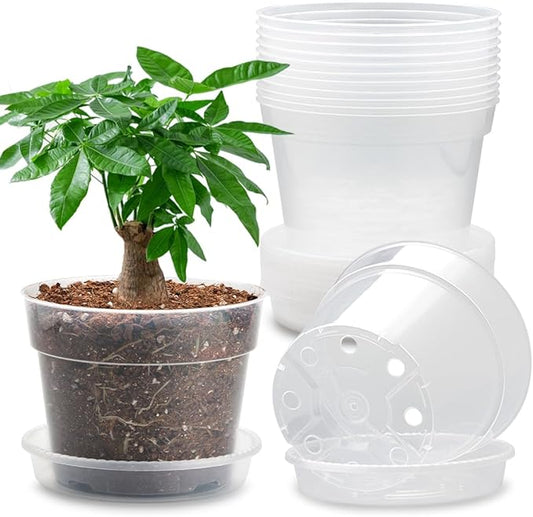 12 Pack 7 Inch Clear Nursery Pots with Saucer, Transparent Plastic Plant Pots with Drainage Holes, Sturdy Plant Starter Pots, Garden Planter Pot for Planting Succulents Flowers Herb Vegetables