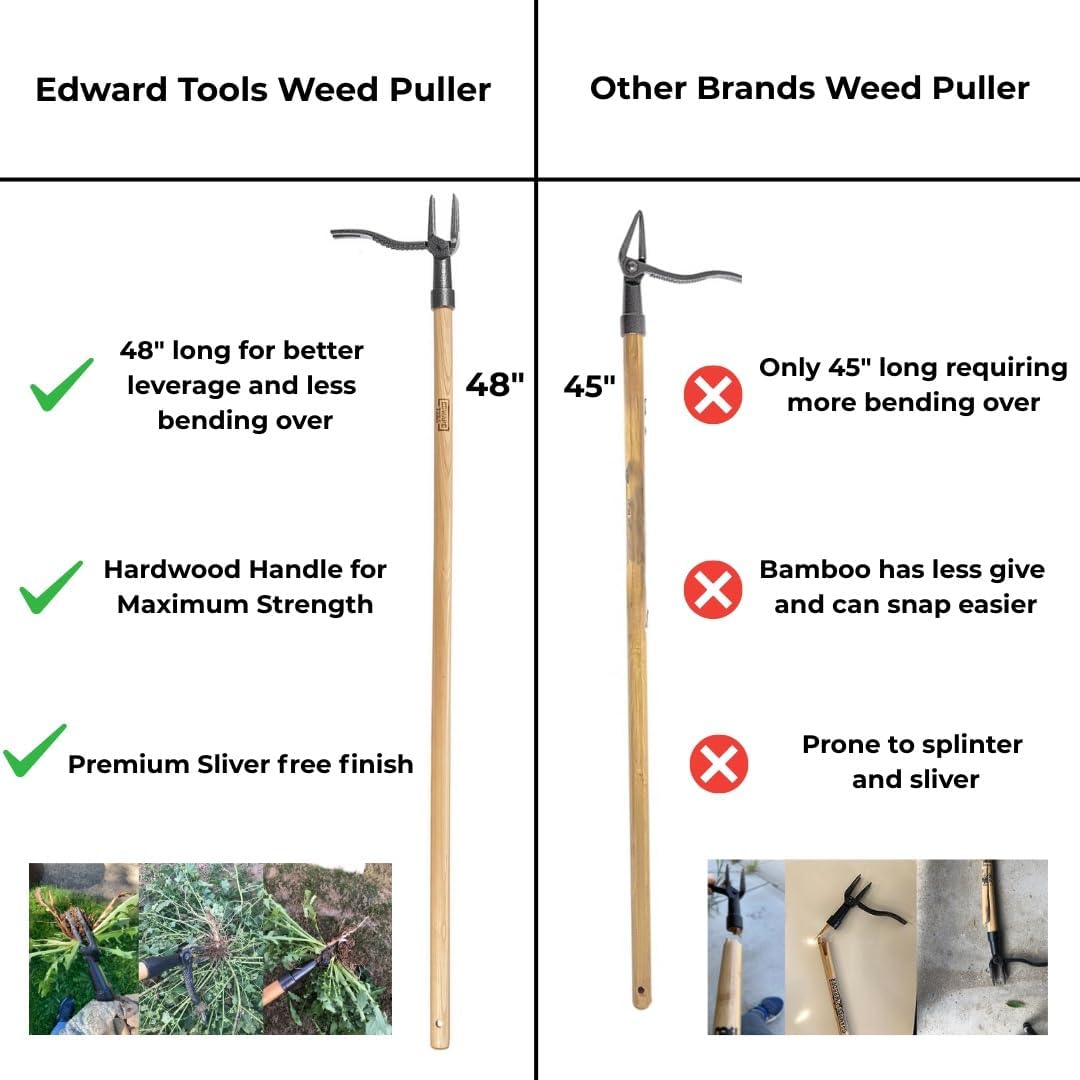 Edward Tools PullPro Long Handle Weed Puller Tool - 48" Classic Heavy Duty Hardwood Handle with 4 Claws Steel Head - Improved Stand Up Weed Remover Tool - Easy Stand Up Tool for Seniors
