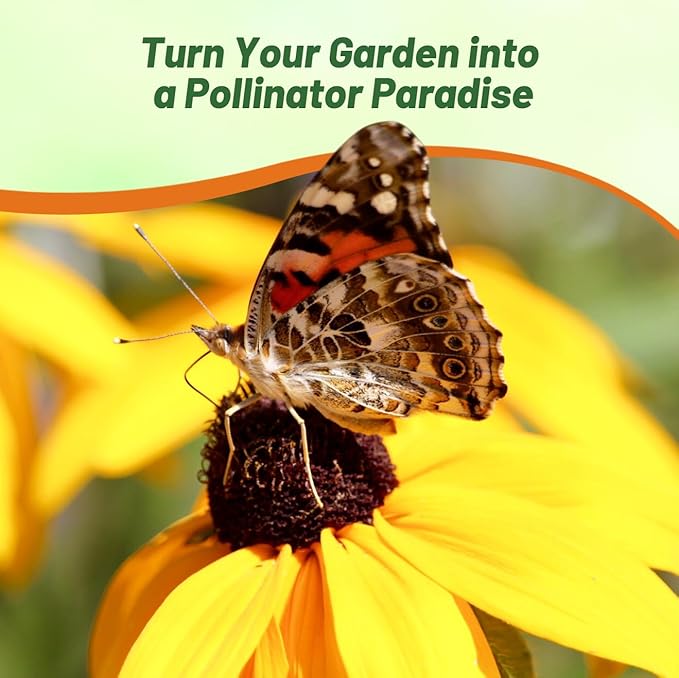 Outsidepride Indian Summer Gloriosa Daisy Seeds – 400 Pcs Perennial Rapid Growing, Heat & Drought Tolerant Rudbeckia Hirta Daisy Flower Seeds for Vibrant Meadows & Garden Borders (AAS Winner)