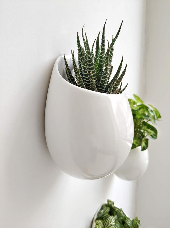 Mkono 4 Inch Wall Mounted Planter Round Ceramic Hanging Plant Holder Decorative Flower Display Vase Succulent Pots for Indoor Plants, Set of 3, White (Plants NOT Included)