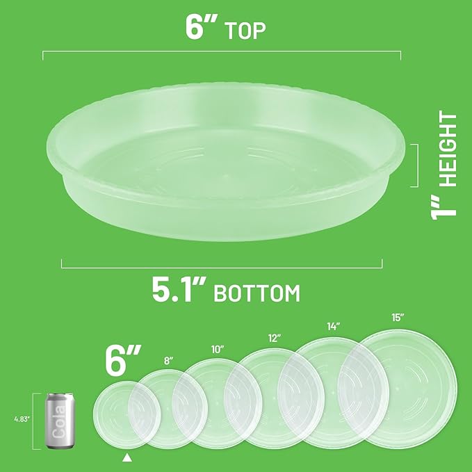 MUDEELA 6 Pack of 6 inch Plant Saucer, Durable Plastic Plant Trays for Indoors, Clear Plastic Flower Plant Pot Saucer, Made of Thicker, Stronger Plastic, with Taller Design