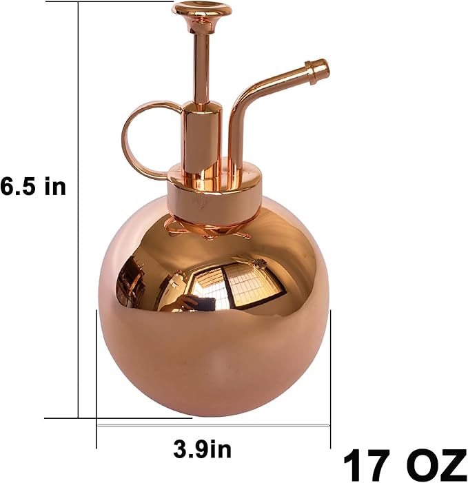 Plant Mister Spray Bottle Stainless Steel Plant Sprayer, Small Watering can Plant Spray Bottle Modern Gardening Tools for Indoor Potted Plants Watering and Spraying