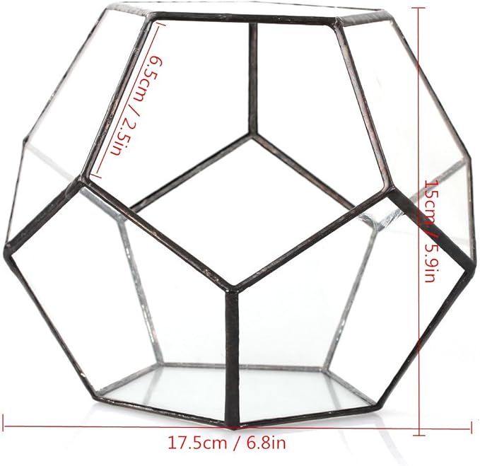 NCYP Small Open Terrarium Planter - 6.89" x 6.89" x 5.9" Pentagon Geometric Glass Container Pot for Succulents, Air Plants - Home Garden Tabletop Miniature Decor, Black (No Plants)