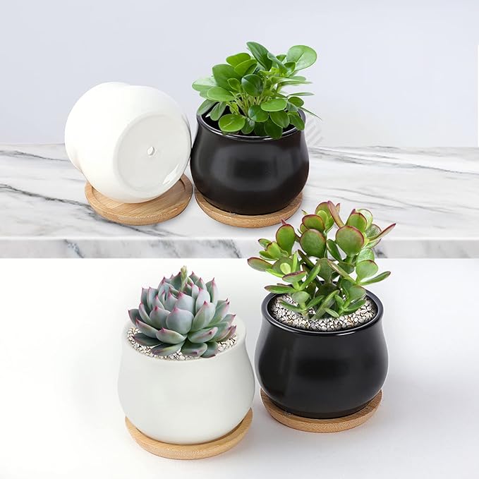 12 Pack Succulent Plant Pot, Mini 2.6 inch Ceramic Flower Planter Pot with Bamboo Tray, Small Pots for Plants, Plants Not Included （White, Black）