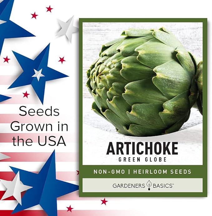 Gardeners Basics, Artichoke Seeds for Planting - Green Globe Non-GMO Perennial Vegetable Variety- 3 Grams Seeds Great for Summer Gardens
