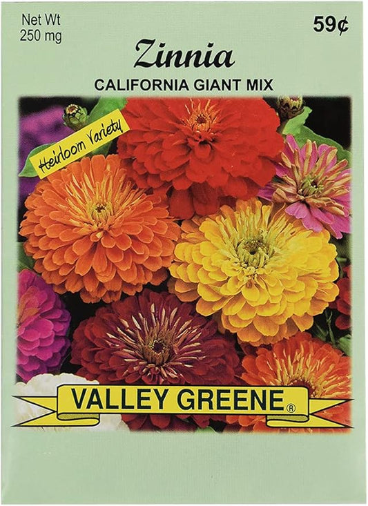 Set of 100 Flower Seed Packets! Flower Seeds in Bulk (100, Zinnia Cali Giant)