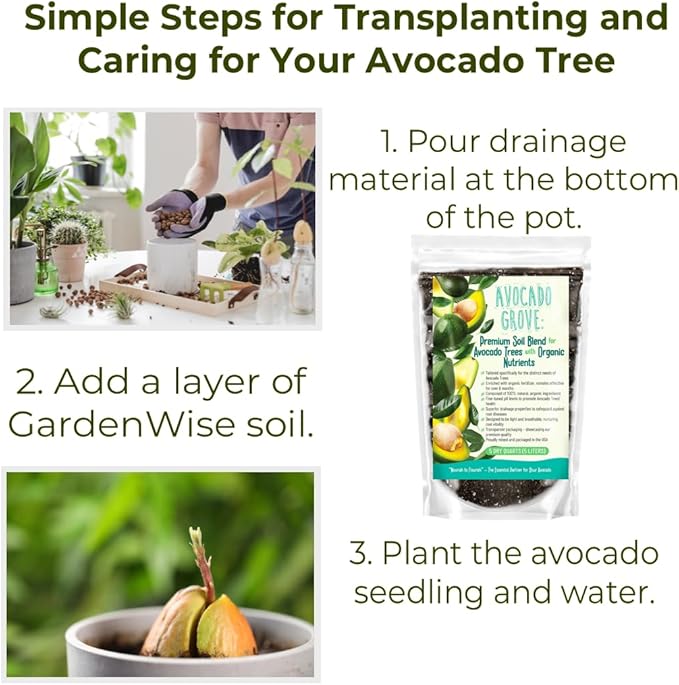Avocado Tree Soil – Premium Organic Potting Mix for Avocado Trees | Tailored pH & Organic Nutrients | Fast-Draining & Moisture-Retaining | Indoor & Outdoor Use (3 QUARTS)