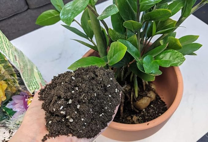 Premium ZZ Plant Supreme Potting Mix - Enhanced Soil Health & Efficient Toxin Absorption for Plant Safety - 20 QUARTS