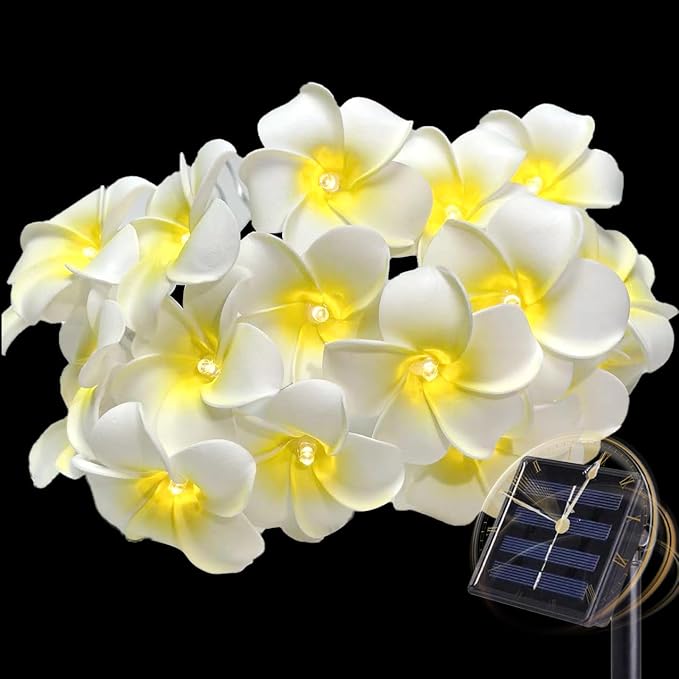 Solar Petunia Blue Morning Glory Flowers and Solar Hawaiian Frangipani Flower String Lights Tropical Flowers