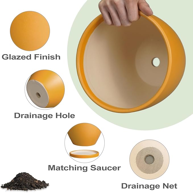 6 Inch Plant Pot - Ceramic Planter with Drainage Hole and Saucer, Modern Round Flower Pot, Planters for Indoor Plants, Home Garden Decor, Orange