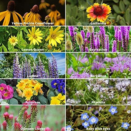 Save the Bees Wildflower Seed Shaker - ~100,000+ Wild Flower Seeds for Planting - Beautiful Easy to Sow Seed Shaker - 19 Varieties to Attract Bees & Other Pollinators - 3 oz. of Seed Covers ~370 sq ft