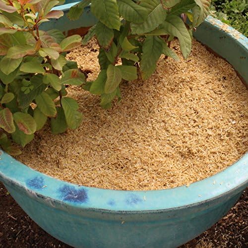 Rice Hulls - Organic Use – 1lb Bag 3.1qts - House Plants – Gardening - Chicken Bedding Nesting