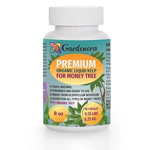 Money Tree Health Boost - 8 oz - Concentrated Kelp & Seaweed Extract for Strong and Healthy Money Trees