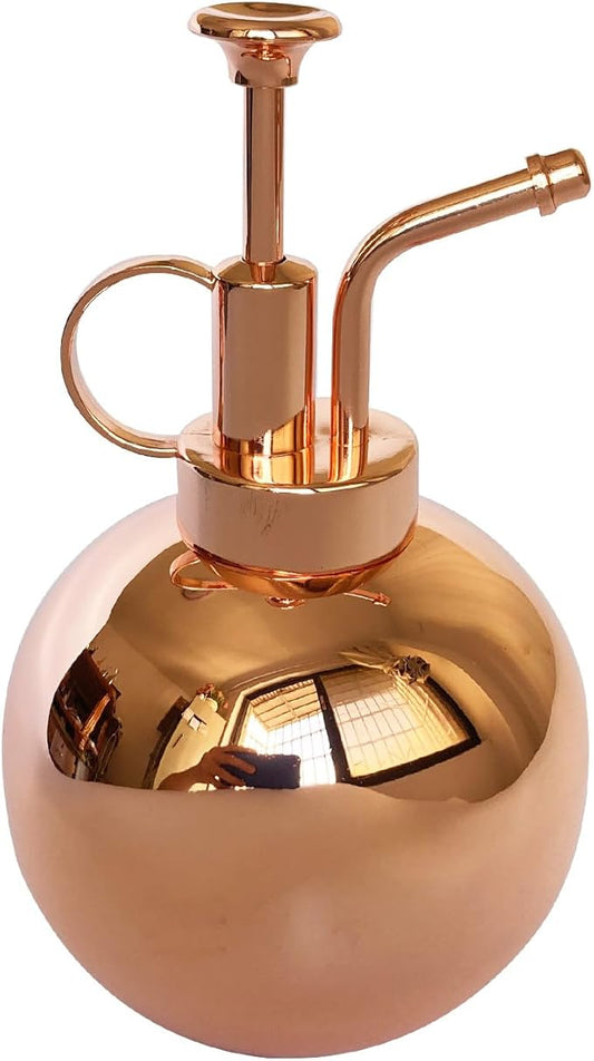 Plant Mister Spray Bottle Stainless Steel Plant Sprayer, Small Watering can Plant Spray Bottle Modern Gardening Tools for Indoor Potted Plants Watering and Spraying