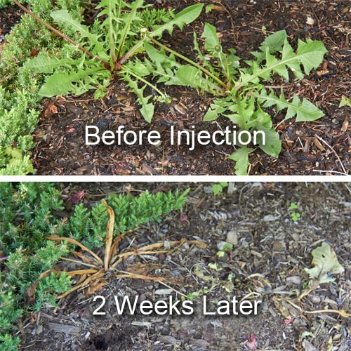 Dandelion Weeder Tool-Manual Weeder, Hand Weeder/Puller Alternative- Dandelion Illimination-Inject Root with Vinegar- Attach to Garden Sprayer-No Digging, Pulling, No Holes to Repair-Patent Pending