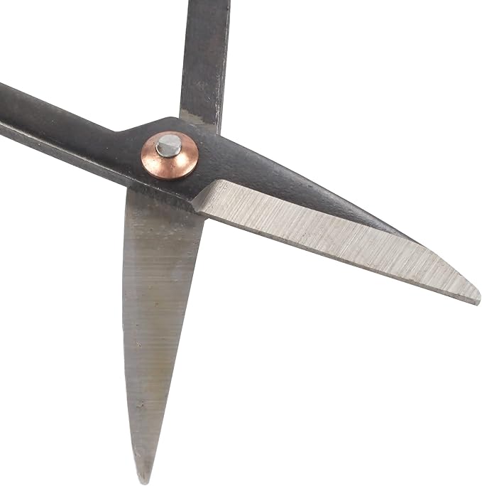 BambooMN 7.2" Black Bonsai Trimming Shear - 30 Pieces