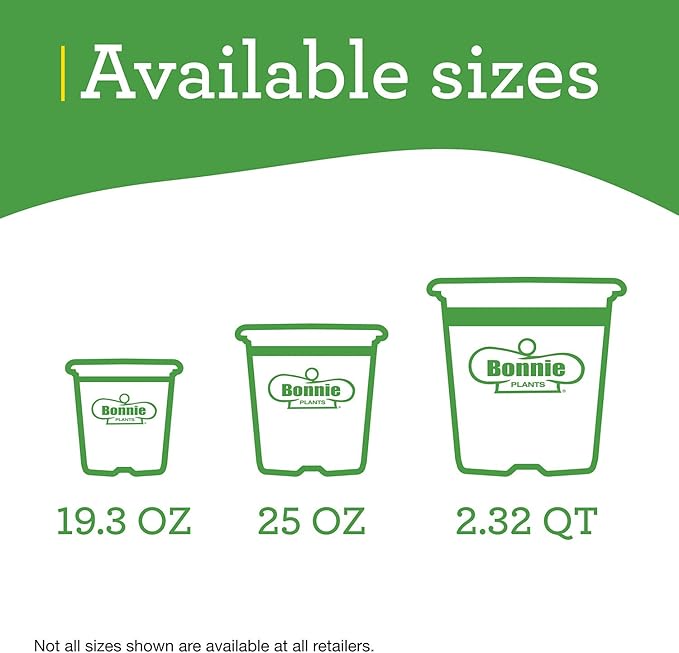 Bonnie Plants Jalapeno Hot Pepper Live Vegetable Plants - 4 Pack, Most Popular Chile Pepper, Non-GMO, 24 - 48 Inch Plants, 3 Inch Pepper Size