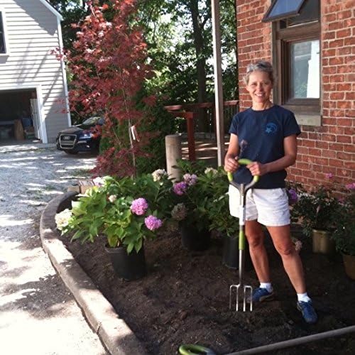 Radius Garden 203 PRO Garden Stainless Steel Digging Fork, One Size, Original Green