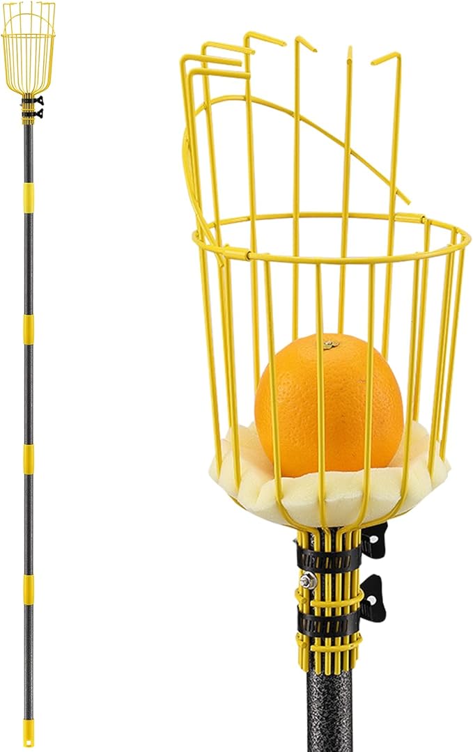 Fruit Picker Pole with Basket Telescopic Pole, 10ft Extendable Fruit Catcher Picking Pole Garden Tools for Picking Fruit from High Apple Cherry Orange Mango Fig Lemon Avocado Fruit Trees