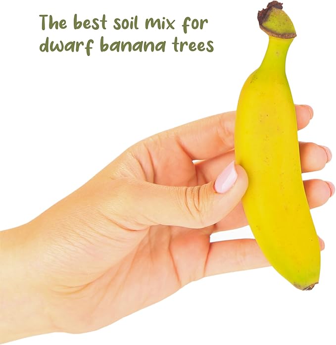 Banana Tree Potting Soil Mix (12 Quarts), Hand Blended Mixture for Banana Plants