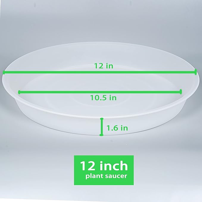 6 Pack of 12 inch Plant Saucer Clear, Heavy Duty Plastic Plant Saucer 12 inch Round, Durable Plant Tray for Pots, Plant Saucers for Indoors, Plant Trays for Planter 10"/11"/12" (12", Clear)
