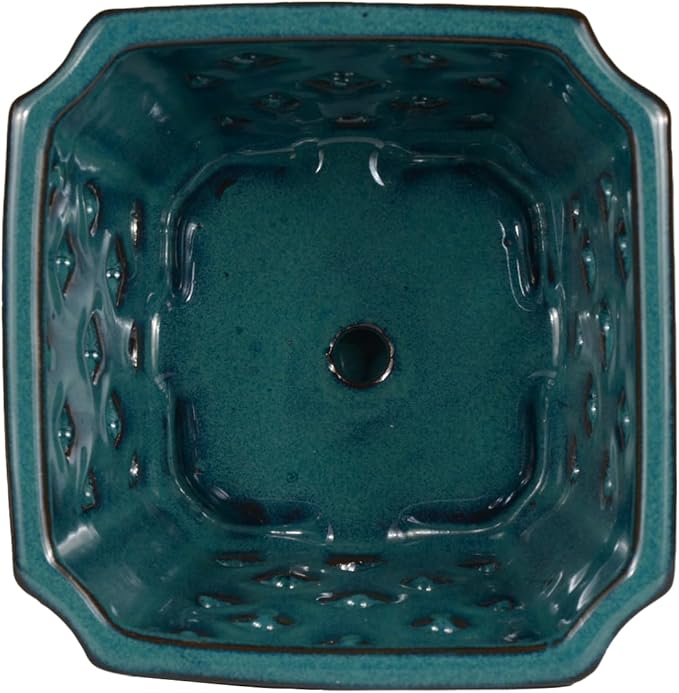 W&W Orchid Pot with Holes and Saucer for Repotting and Better Grow, Teal, 7 Inches